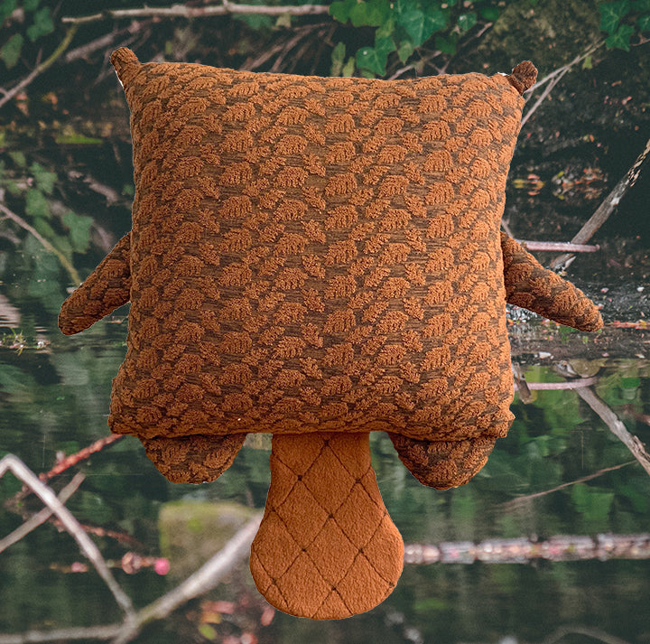 Castor Coussin