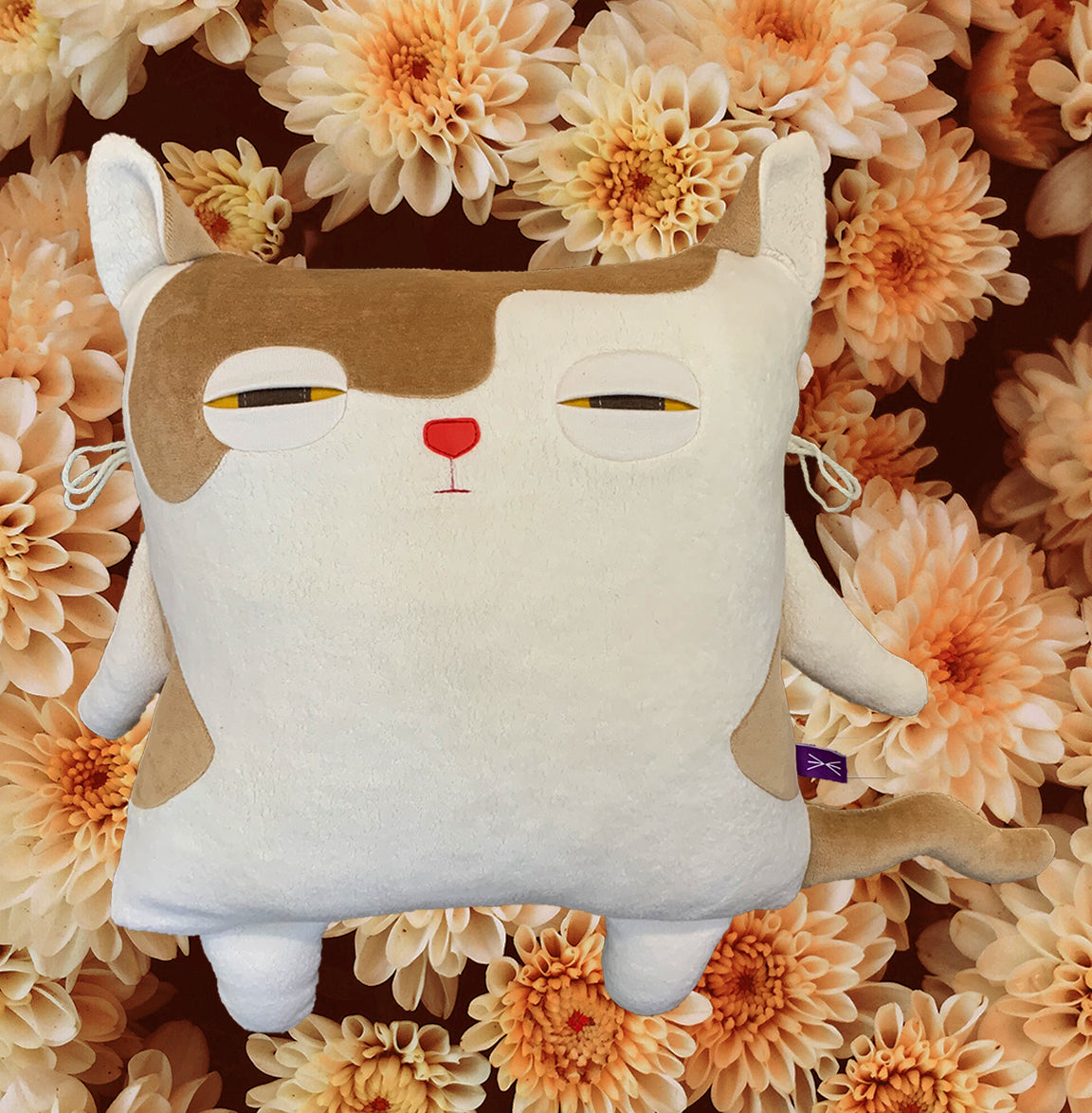 Chat Coussin
