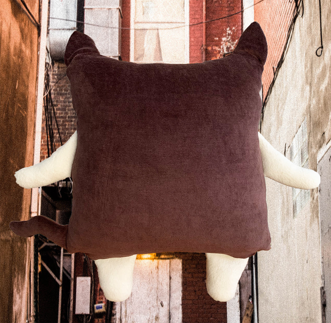 Chat Coussin