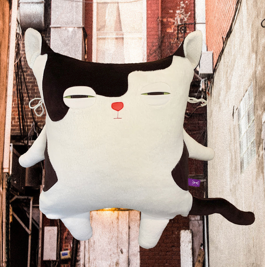 Chat Coussin