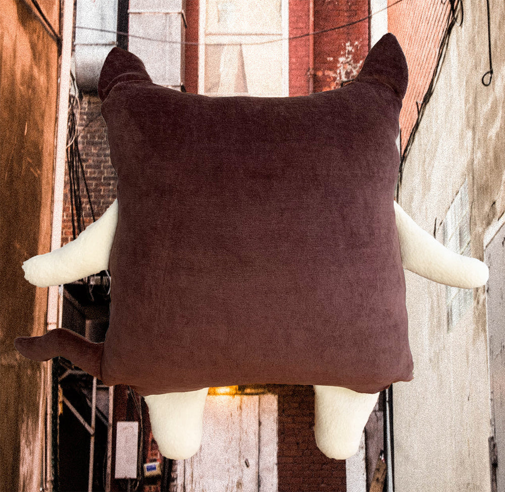 Chat Coussin